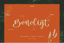 Bonoligt Typeface font