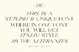 Stylish Delight - Modern Serif font