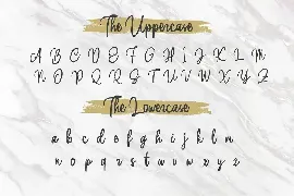 Handwriting Script Font