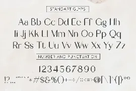 Modern Unique Sans Serif Display Font