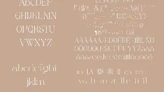 Magero Elegant Serif Font