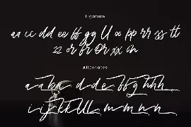 Death Zone Typeface font