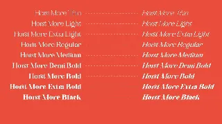 Horst More Retro Soft Serif font