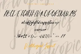 Subtropics - Fancy Calligraphy Font