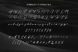 Bresley Signature Font