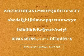 Pure Orange - Serif Bold Font