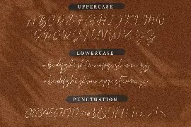 Plumrose Signature font