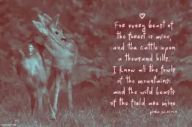 Dear Deer Font