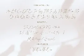 Denara font