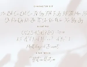 Denara font