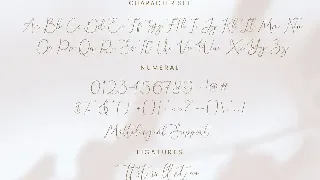 Denara font