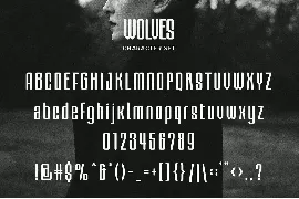 Wolves - Display Condensed Sans Serif font