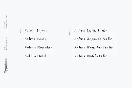 Selma - A Classy Serif Typeface font