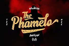 Phamelo - Grunge Script font