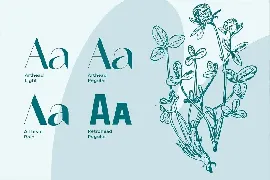 Wedding Font Pairing II