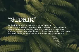 Gedrik Serif Typeface font