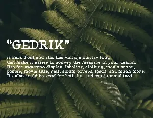 Gedrik Serif Typeface font