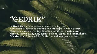 Gedrik Serif Typeface font