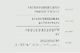 Cargen â€“ Elegant Ligature Serif font