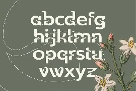 Wildhead Display Font