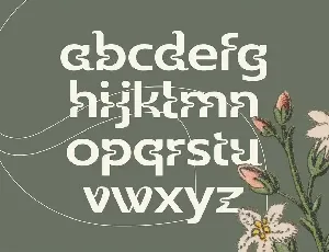 Wildhead Display Font