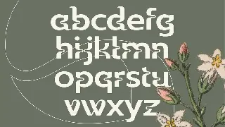 Wildhead Display Font