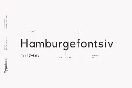 Gale - Feminine Geometric Sans Serif font