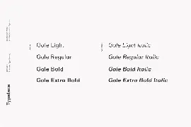 Gale - Feminine Geometric Sans Serif font