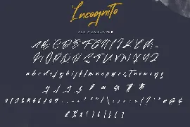 Incognito | Marker Font