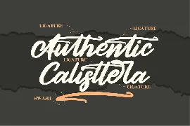 Authentic Calisttera Script Font