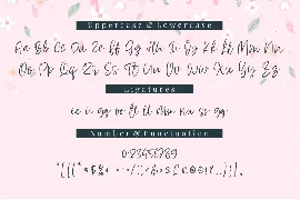 Alyssum - A Script Font