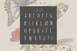 Valentine Vintage Font