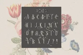 Valentine Vintage Font