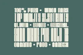 Bauhead Typeface|Bauhaus Design Font