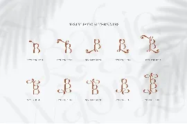 Ncl Bahie Waonid - Stylish Elegant Swashes font