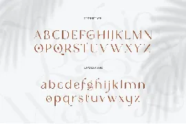 Ncl Bahie Waonid - Stylish Elegant Swashes font