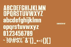 Lituora Bold Sans Display font