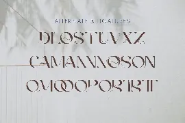 Agnoses - Display Serif font