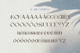 Agnoses - Display Serif font