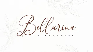 Allisa Brittani / A Script Font