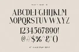 Athina - Modern Serif font