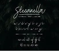 Stecanella - Script Font