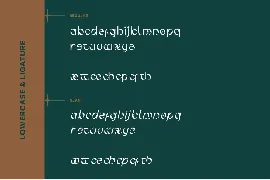 Gahiboe - Aesthetic Vibes Boho Display Font