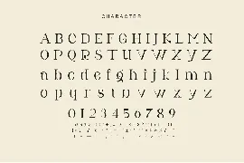 Unokn Unique Serif Typeface font