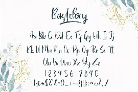 Bastelory Modern Script Font