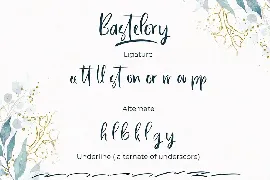 Bastelory Modern Script Font