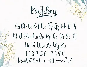 Bastelory Modern Script Font