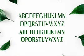 Axell Serif Font Family