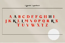 Bold And Unique Font - Ligerid