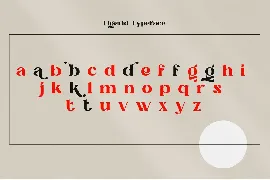 Bold And Unique Font - Ligerid